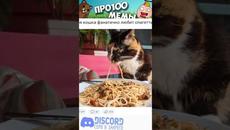 #приколы #мемы #мем - Videoclip.bg