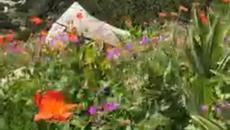 11 ДЕКЕМВРИ - МЕЖДУНАРОДЕН ДЕН НА ПЛАНИНИТЕ И ДРУГИ - Videoclip.bg