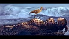 Walter Trout - Marie's Mood - Videoclip.bg