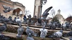 Времето за 8-ми март 2023 г. - Постепенно затопляне и повишение на температурите - Videoclip.bg