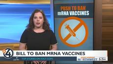 Idaho lawmakers introduce bill to make it a misdemeanor to administer mRNA vaccines - Videoclip.bg