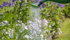 С 300% по-висока стана цената на водата за напояване от 1-ви март 2023 г. - земеделците в протестна готовност - Videoclip.bg