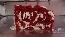 7 προβλέψεις που μπορεί να βγουν αληθινές μέχρι το 2030 - Videoclip.bg