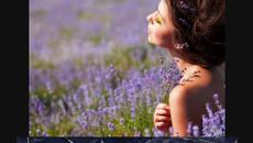 Kelly Clarkson - If I Can't Have You - Videoclip.bg