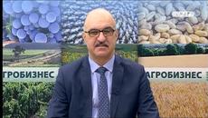 МОРАЛНО ЛИ Е? ОКУПИРАШ ТЕРИТОРИИ И СТАВАШ БОГАТ! - Videoclip.bg