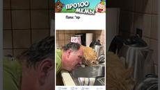 #приколы #мемы #мем #анекдоты #юмор #мемы #шутки #shorts - Videoclip.bg