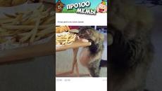 #приколы #мемы #мем #анекдоты #юмор #мемы #шутки #shorts - Videoclip.bg