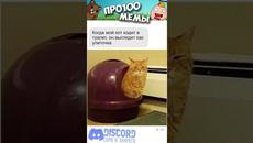 #приколы #мемы #мем - Videoclip.bg