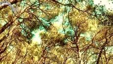 Πάνος Γαληνός - Ρούχο στην πλάτη - дреха на гърба - Videoclip.bg