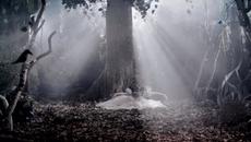 MOREZA - Mystic Dancer - Videoclip.bg