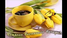 Добрый  вечер!     Тутси  -  Космическая  Ночь - Videoclip.bg