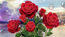 Самая красивая мелодия на свете! Эту музыку можно слушать вечно! Красивая музыка Сергей Грищук - Videoclip.bg