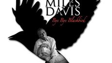 No Blues - Videoclip.bg