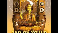 Tao Of Sound - Metro from Metro - Videoclip.bg