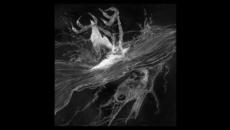 Kayo Dot - Choirs Of The Eye (2003) - Full Album - Videoclip.bg