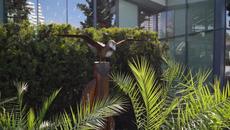 Флора Бургас 2023 - Videoclip.bg