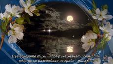 MIle Kitic - Pitaju za tebe / превод / - Videoclip.bg