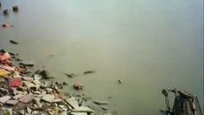 Orbital   The Box   Full Official Video with Credits - Videoclip.bg