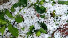 Прогноза за времето  8 май 2023 г. - Захлаждане, валежи и условия за градушки днес - Videoclip.bg