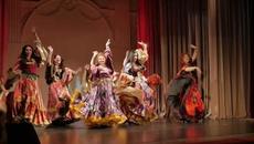 Цыганская феерия. Шоу группа Рада - Videoclip.bg