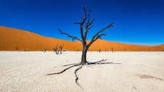 Идват горещи години в Южна Европа със сухо жарко лято заради климатичните промени - Videoclip.bg