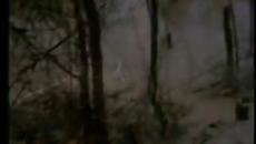 Bobby Gentry - Ode to Billy Joe - Videoclip.bg