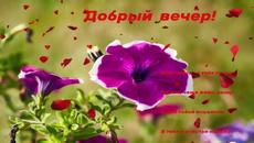 Добрый  вечер!    Алиса  Мон  -   Беда  Не  Беда - Videoclip.bg