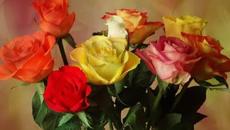 Андрей Шпехт - Эти  розы только для тебя! - Videoclip.bg