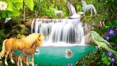 Вълшебство - Videoclip.bg