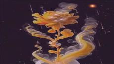 Un fiore per te (Disco ,Eurodance ) music - Videoclip.bg