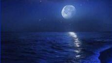 Плачът на морето - Cry of The Sea Music - Videoclip.bg