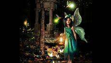 РАЗЛИЧНО ВЪЛШЕБСТВО - Videoclip.bg