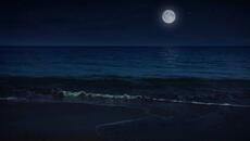 Камен Тодоров – „Позволи ми...“ (поезия) - Videoclip.bg