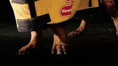 Национален турнир за дакели Wiener Dog Nationals   (2013) Бг Аудио Част 1 - Videoclip.bg