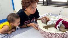 Mom was worried when Monkey Kaka stopped eating because missed dad - Videoclip.bg
