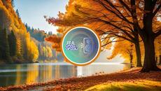 DANI GRIGU - DEEP HOUSE VIBES INFLUENCED (14 October 2023) - Videoclip.bg