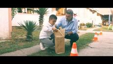 Bojan Tomović  -KOFER ZELENI-  2023  (UNIVERSAL VIDEO PRODUCTION) - Videoclip.bg