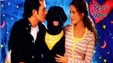 SOFIA del album Perro Amor - Videoclip.bg