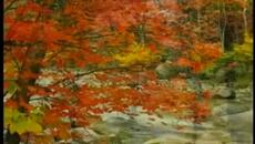 ИЗЛЯЗЛА Е МАЛКА МОМА И НЕВЕНО МОМЕ - Дуо Сладко Медено - Videoclip.bg