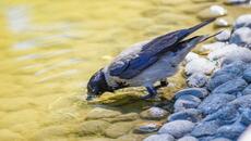 Прогноза за времето 9.07.2023 - Валежите спират, идват суша и жеги през новата седмица - Videoclip.bg