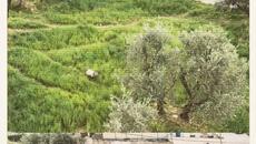 377 - Alert (Timbaland ft. Drake - Say Something Remix) - Videoclip.bg