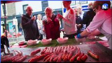 5 things to do next week (7-13 August 2023) - Videoclip.bg