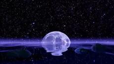 Pink Floyd - Marooned - Videoclip.bg