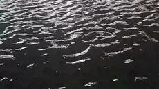 Лятна Буря и проливен дъжд в Несебър! - Силна буря, придружена със мълнии, се разрази по Южното Черноморие - Videoclip.bg