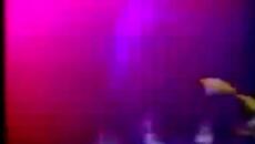 ELIVERANCE - PEOPLE LIKE US EDIT BY - Videoclip.bg