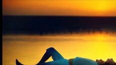 Стефан Воронов - Ела, моя любов - Videoclip.bg