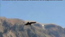 Chris Rea - Set Me Free - BG субтитри - Videoclip.bg