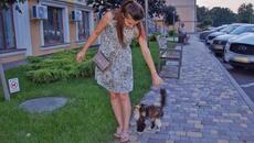 Stray Cat Follows Every Stranger and Asking to Take her Home Until This Happened - Videoclip.bg