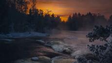 Leonard Cohen - By the Rivers Dark  \ BG субтитри \ - Videoclip.bg