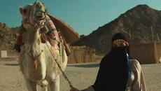 OGNEN ZDRAVKOVSKI - KILOMETRIMA (OFFICIAL VIDEO 2023) - Videoclip.bg